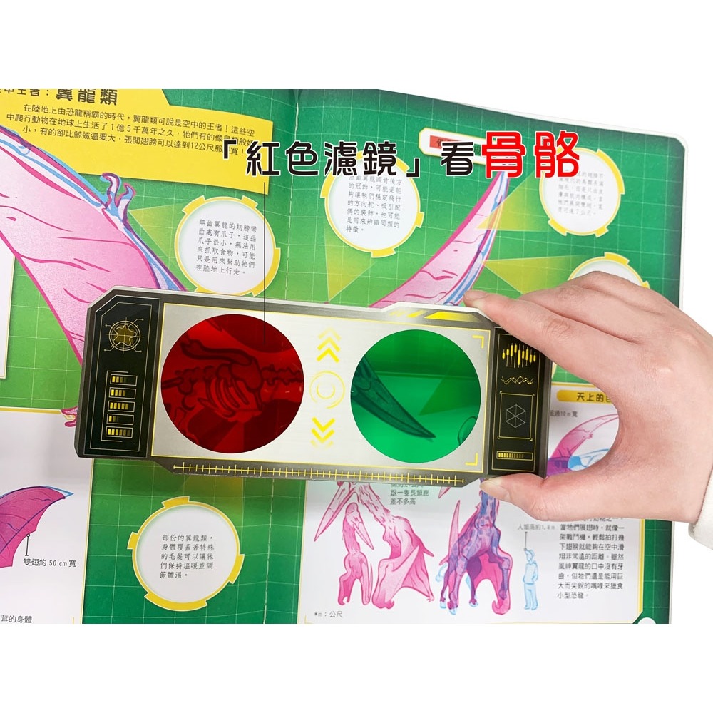 ✨現貨✨《幼福》恐龍大透視：濾鏡百科遊戲書（內附神奇雙色透視濾鏡，可顯現出不同圖案！）⭐️童書團購批發⭐️-細節圖6