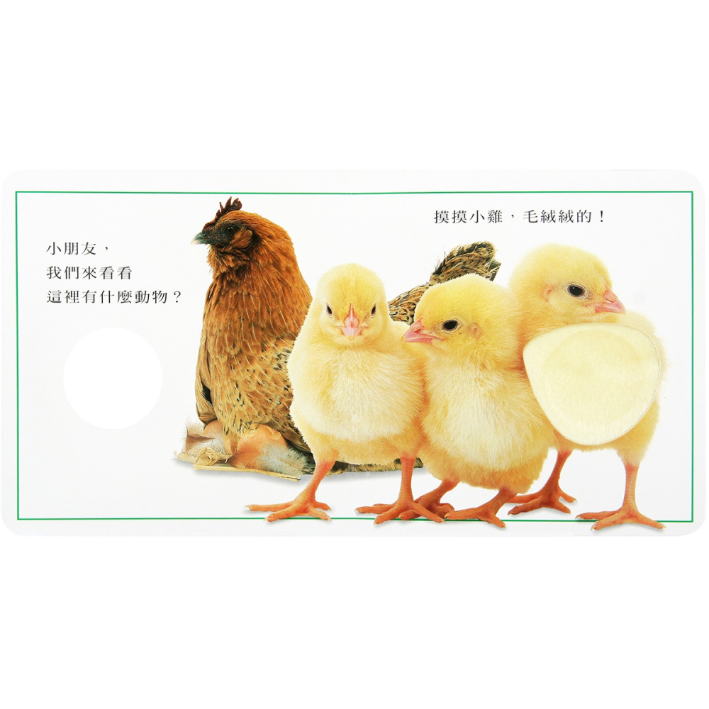 ✨現貨✨《上誼文化公司》可愛的動物（觸覺遊戲書）⭐️童書團購批發⭐️-細節圖3