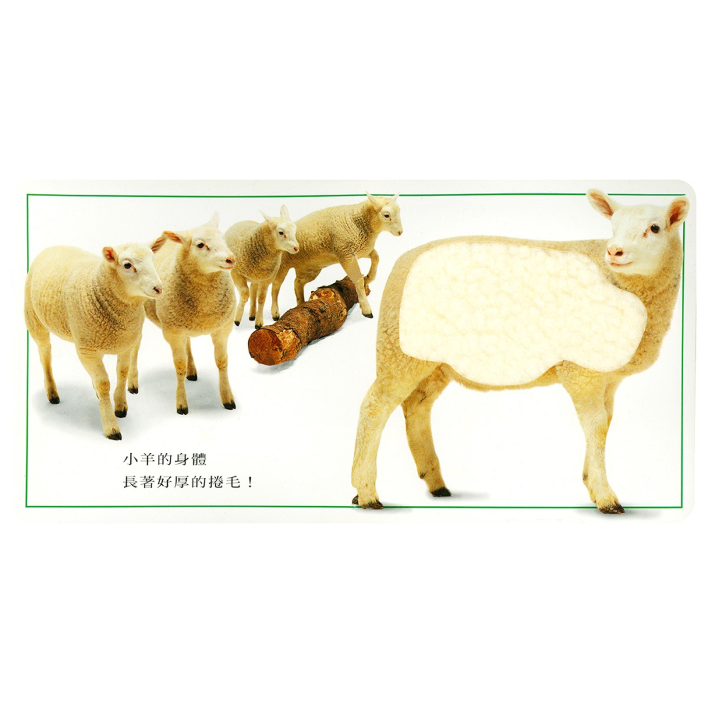 ✨現貨✨《上誼文化公司》可愛的動物（觸覺遊戲書）⭐️童書團購批發⭐️-細節圖5