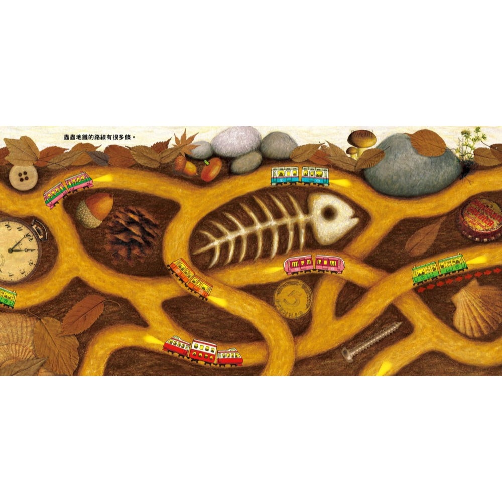 ✨現貨✨《小光點》蟲蟲地鐵⭐️童書團購批發⭐️-細節圖3