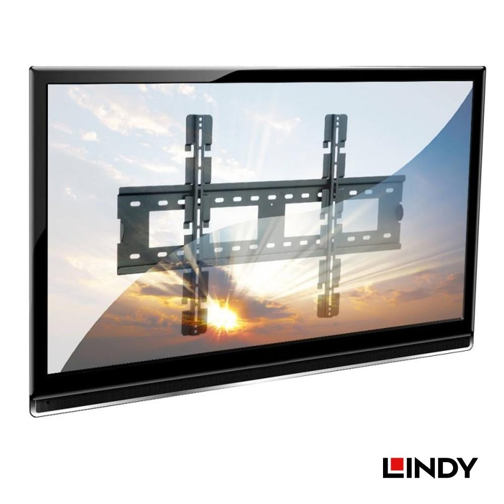 LINDY 林帝 40873 - 液晶電視架60KG 大洋國際電子-細節圖3