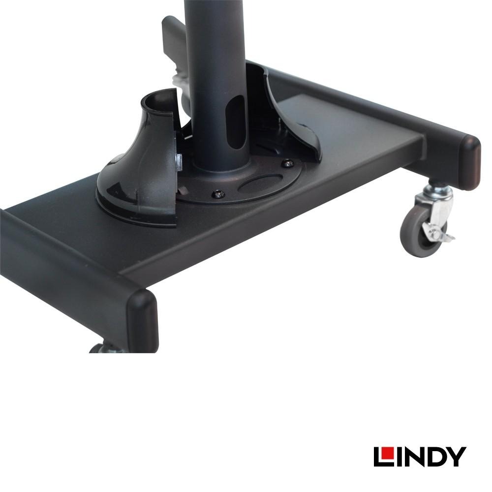 LINDY 林帝 40762 - 可移動式 液晶電視固定架 大洋國際電子-細節圖5