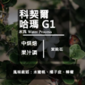 【Like Coffee八豆坊 】衣索比亞 耶加雪菲 精品咖啡豆 咖啡豆買一包送一包 非洲之星 粉紅蜜桃 獨立小農計劃-規格圖5