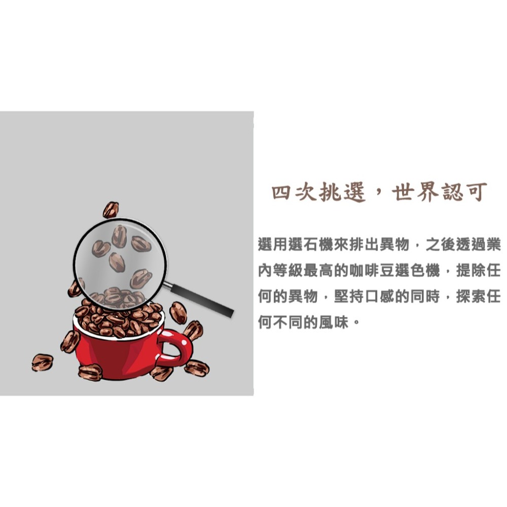 【Like Coffee八豆坊 咖啡豆專賣店 】衣索比亞 耶加雪菲 G1 日曬 水洗 果丁丁  孔加合作社 莊園咖啡豆-細節圖7