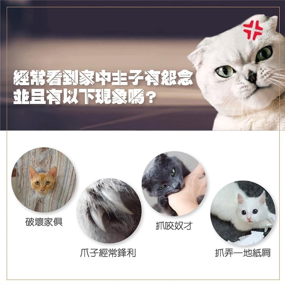 【Co.Co.Cat 酷酷貓 】復刻古董車-100%台灣製貓抓板-細節圖3