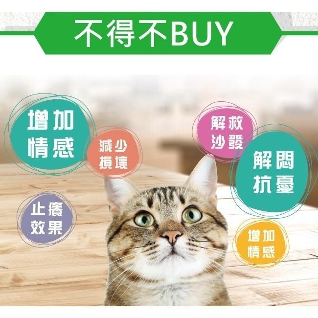 【Co.Co.Cat 酷酷貓 】大擂台-100%台灣製貓抓板(隨機不挑色)-細節圖4