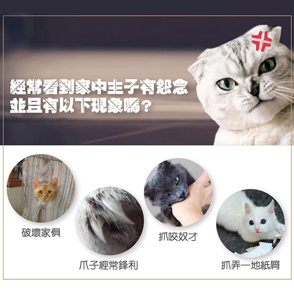 【Co.Co.Cat 酷酷貓 】風火輪-100%台灣製貓抓板(隨機不挑色)-細節圖4