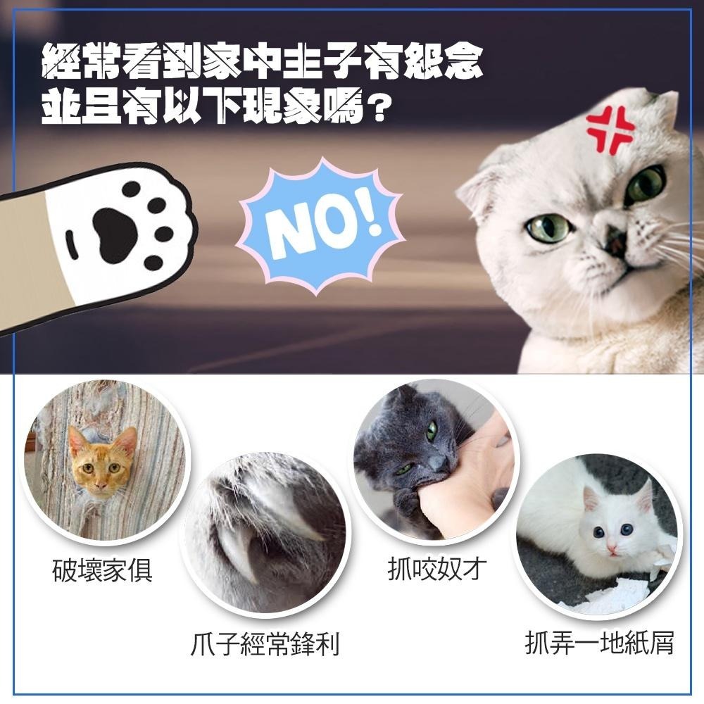 【Co.Co.Cat 酷酷貓 】日式章魚哥-100%台灣製貓抓板(隨機不挑色)-細節圖6