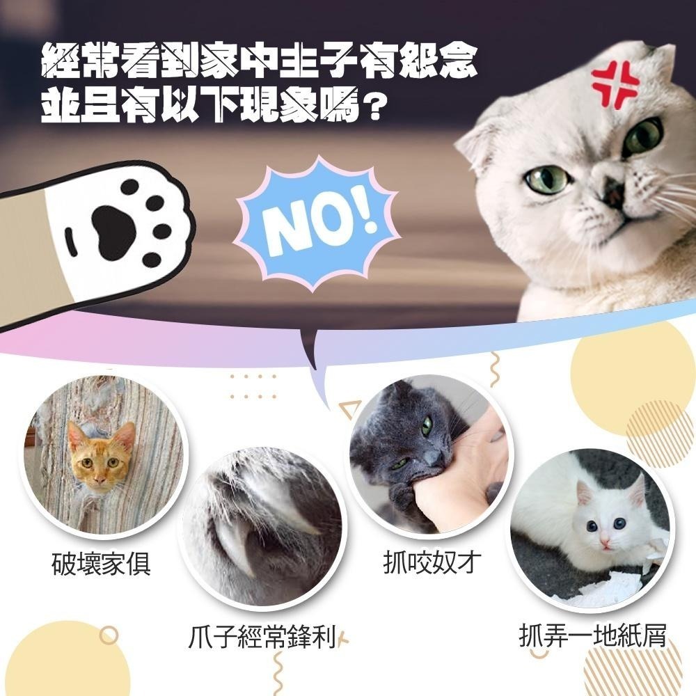 【Co.Co.Cat 酷酷貓 】瑞士卷/蛋糕捲-100%台灣製貓抓板(隨機不挑色)-細節圖5
