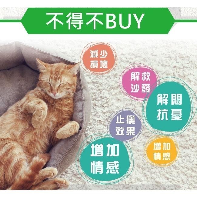 【Co.Co.Cat 酷酷貓 】洞洞樂-100%台灣製貓抓板(隨機不挑色)-細節圖4