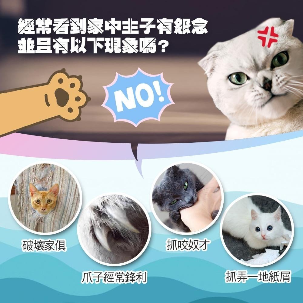 【Co.Co.Cat 酷酷貓】藏寶箱-100%台灣製紙箱貓抓板-細節圖5