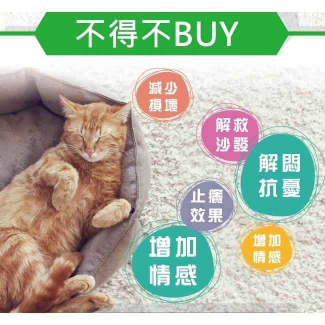 【Co.Co.Cat 酷酷貓 】瑜珈台-100%台灣製貓抓板(隨機不挑色)-細節圖4