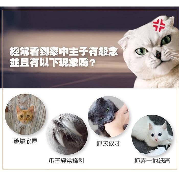 【Co.Co.Cat 酷酷貓 】羅馬宮殿-100%台灣製貓抓板-細節圖3