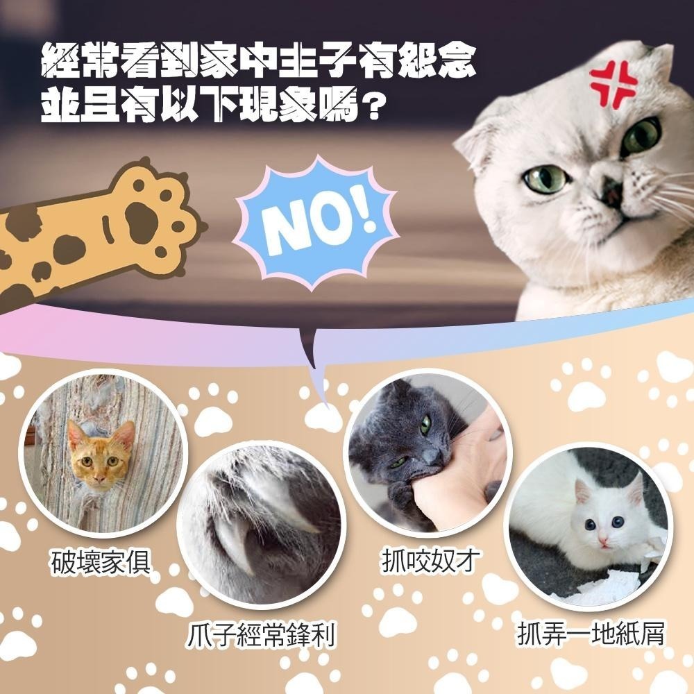 【Co.Co.Cat 酷酷貓 】台灣石虎-100%台灣製貓抓板(就是愛台灣系列)-細節圖6