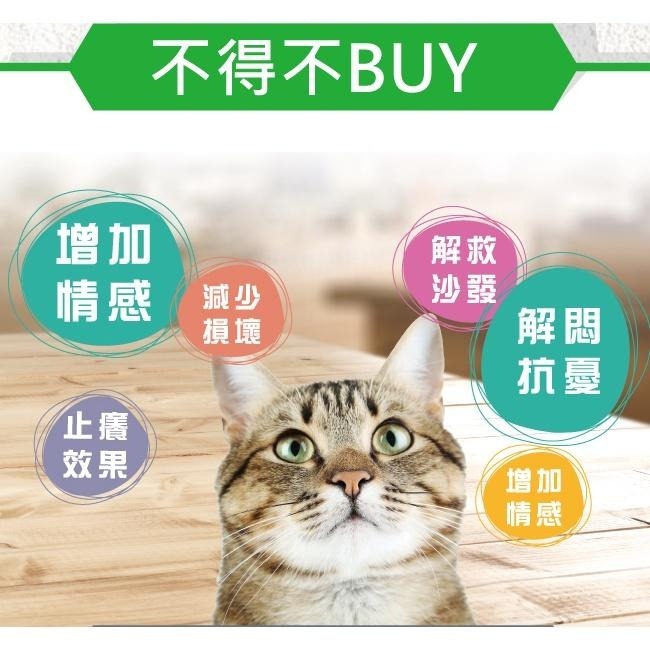 【Co.Co.Cat 酷酷貓 】豪華城堡-100%台灣製貓抓板(隨機不挑色)-細節圖4