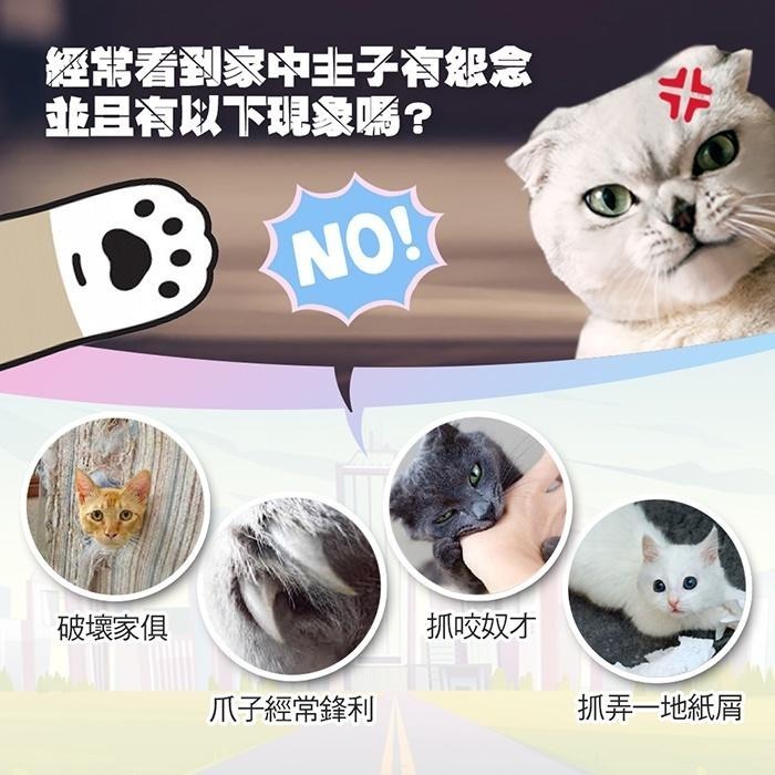 【Co.Co.Cat 酷酷貓 】人氣玩具車系列-100%台灣製貓抓板(三款可選)-細節圖5