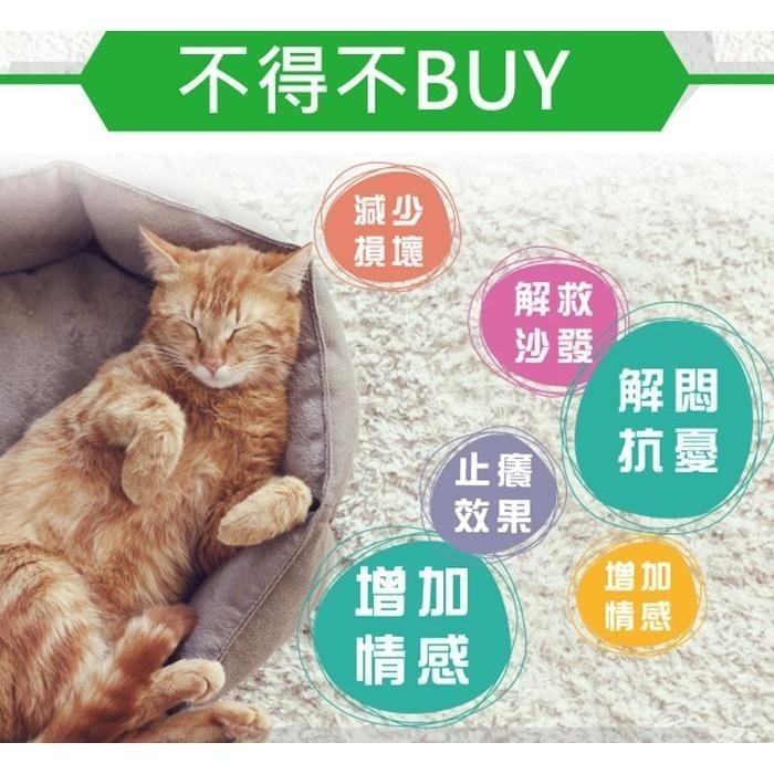 【Co.Co.Cat 酷酷貓 】櫻花白洞洞樂-100%台灣製貓抓板(季節限定-櫻花白)-細節圖5