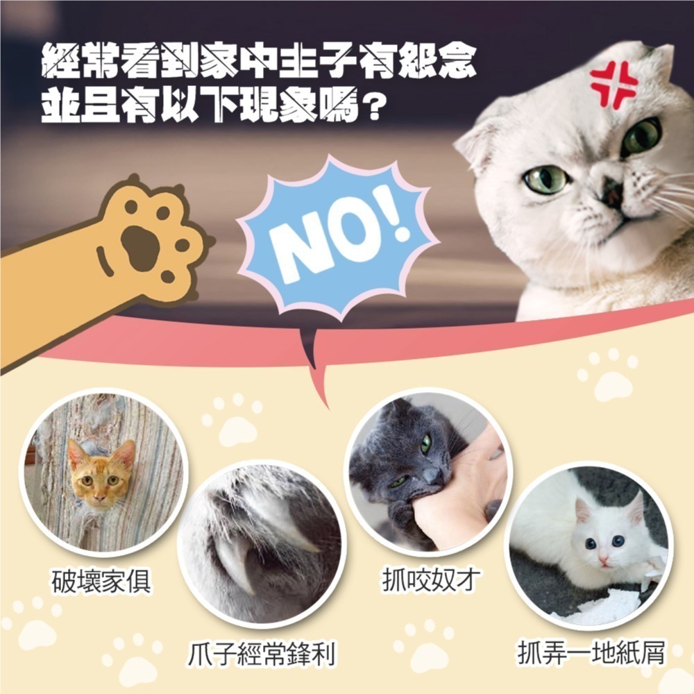 【Co.Co.Cat 酷酷貓】DIY貓屋 / 獨棟別墅-買屋首選★買一送一-細節圖4