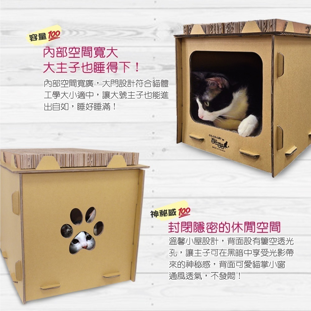 【Co.Co.Cat 酷酷貓】DIY貓屋 / 獨棟別墅-買屋首選★買一送一-細節圖7