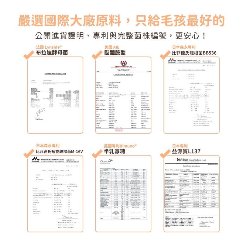 <六叔>汪喵星球 腸胃益生菌 體驗包 單支 腸胃道健康 寵物益生菌 新改版 配方升級-細節圖4