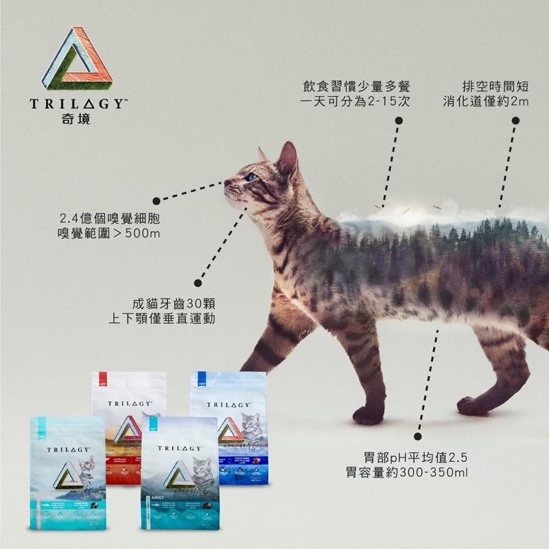 <六叔> 貓首選300克💥奇境 TRILOGY 貓飼料 凍乾飼料 成貓飼料 凍乾 鮭魚 袋鼠肉 鮪魚300克-細節圖3
