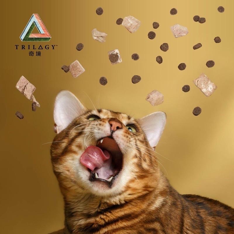 <六叔> 貓首選300克💥奇境 TRILOGY 貓飼料 凍乾飼料 成貓飼料 凍乾 鮭魚 袋鼠肉 鮪魚300克-細節圖4