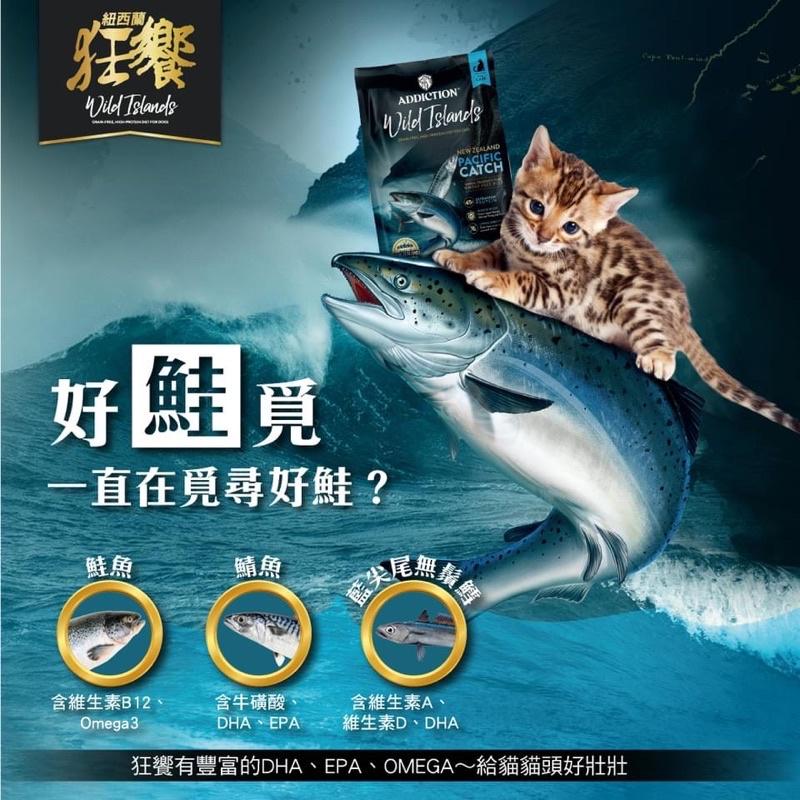 <六叔>【狂饗 WILD ISLANDS】紐西蘭 貓食品 貓飼料 無穀飼料 成貓飼料 高蛋白+低碳水 300克-細節圖3