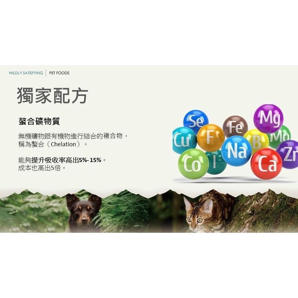 <六叔> 【狂饗 WILD ISLANDS】紐西蘭 貓食品 貓飼料 無穀飼料 成貓 高蛋白+低碳水-細節圖5