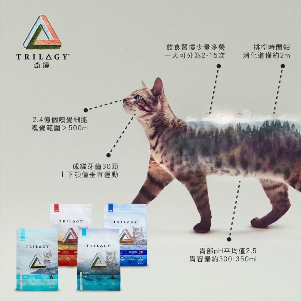 <六叔>🔥奇境TRILOGY貓飼料 無榖飼料 成貓幼貓飼料 凍乾 鮭魚 袋鼠肉 鮪魚-細節圖3