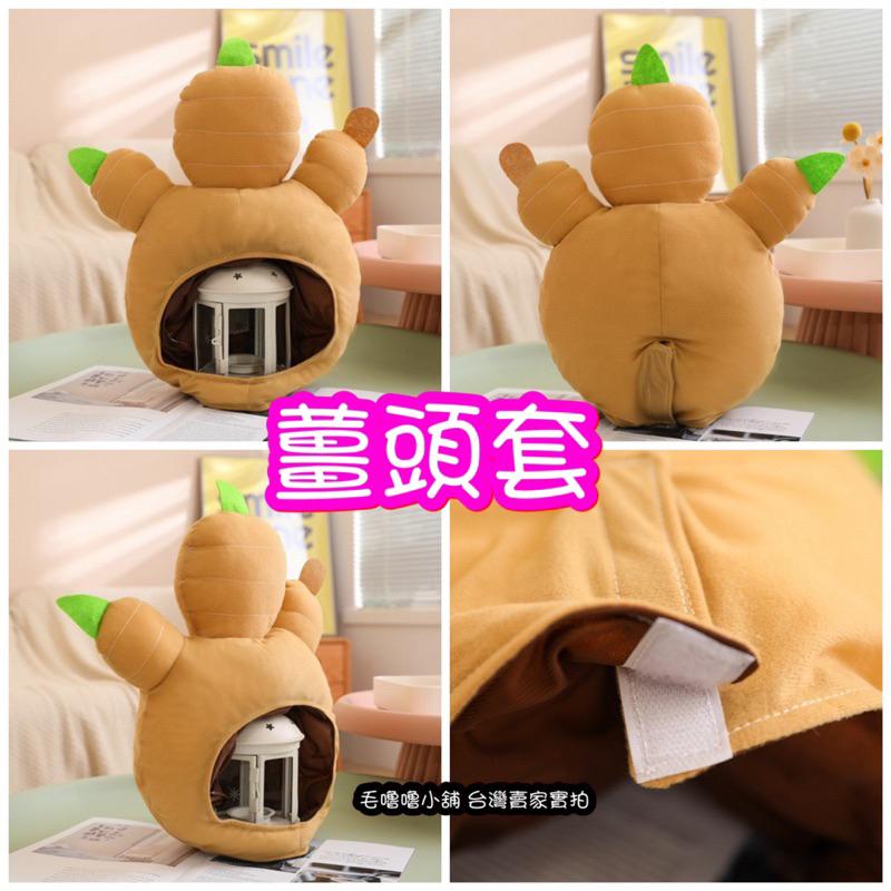 台灣出貨❤️辛香料頭套 薑 大蒜頭 辣椒頭套帽子表演服裝-細節圖4