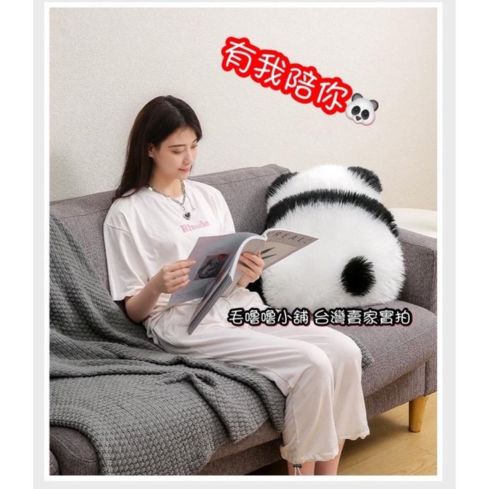 台灣現貨實拍❤️小紅書同款仿羊毛背影熊貓抱枕 熊貓娃娃 貓熊地墊 委屈熊貓-細節圖3