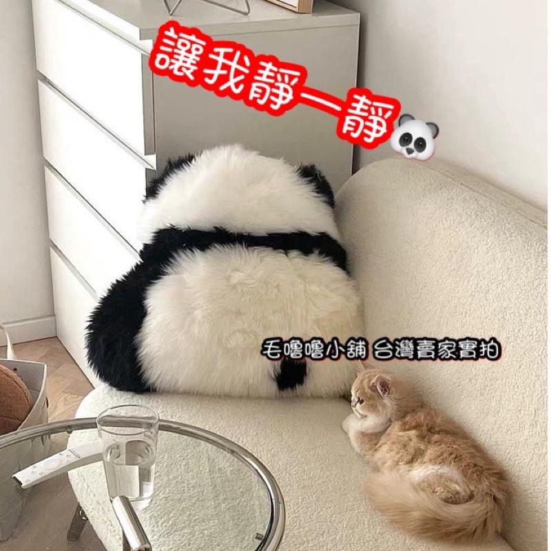 台灣現貨實拍❤️小紅書同款仿羊毛背影熊貓抱枕 熊貓娃娃 貓熊地墊 委屈熊貓-細節圖5