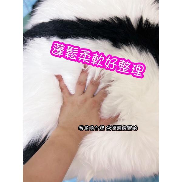 台灣現貨實拍❤️小紅書同款仿羊毛背影熊貓抱枕 熊貓娃娃 貓熊地墊 委屈熊貓-細節圖6