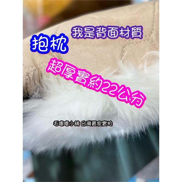 台灣現貨實拍❤️小紅書同款仿羊毛背影熊貓抱枕 熊貓娃娃 貓熊地墊 委屈熊貓-細節圖8