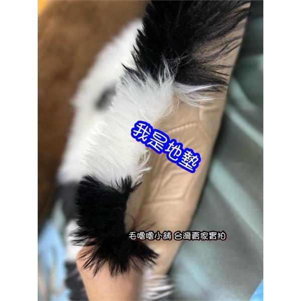台灣現貨實拍❤️小紅書同款仿羊毛背影熊貓抱枕 熊貓娃娃 貓熊地墊 委屈熊貓-細節圖9