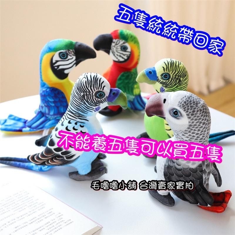 台灣現貨❤️精美仿真鸚鵡娃娃 公仔 擺設-八哥 金剛鸚鵡 灰鸚鵡-細節圖3