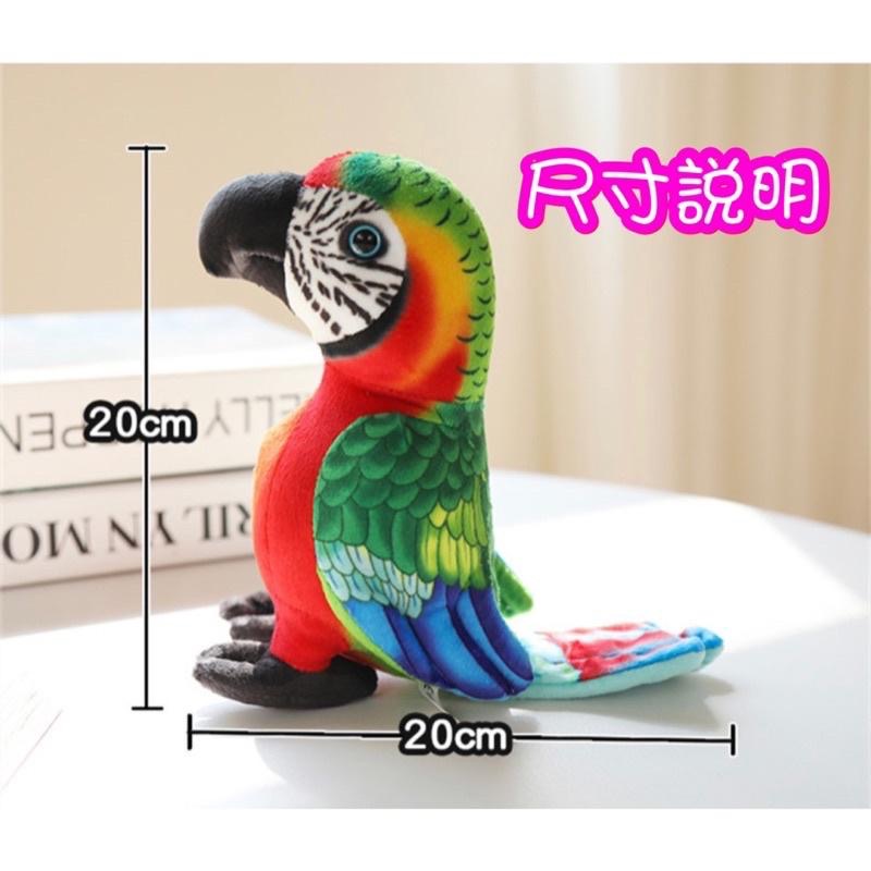 台灣現貨❤️精美仿真鸚鵡娃娃 公仔 擺設-八哥 金剛鸚鵡 灰鸚鵡-細節圖4