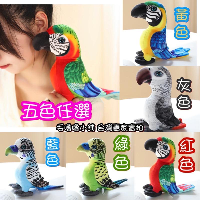 台灣現貨❤️2隻500元🦜精美仿真鸚鵡娃娃 公仔 擺設-八哥 金剛鸚鵡 灰鸚鵡-細節圖2