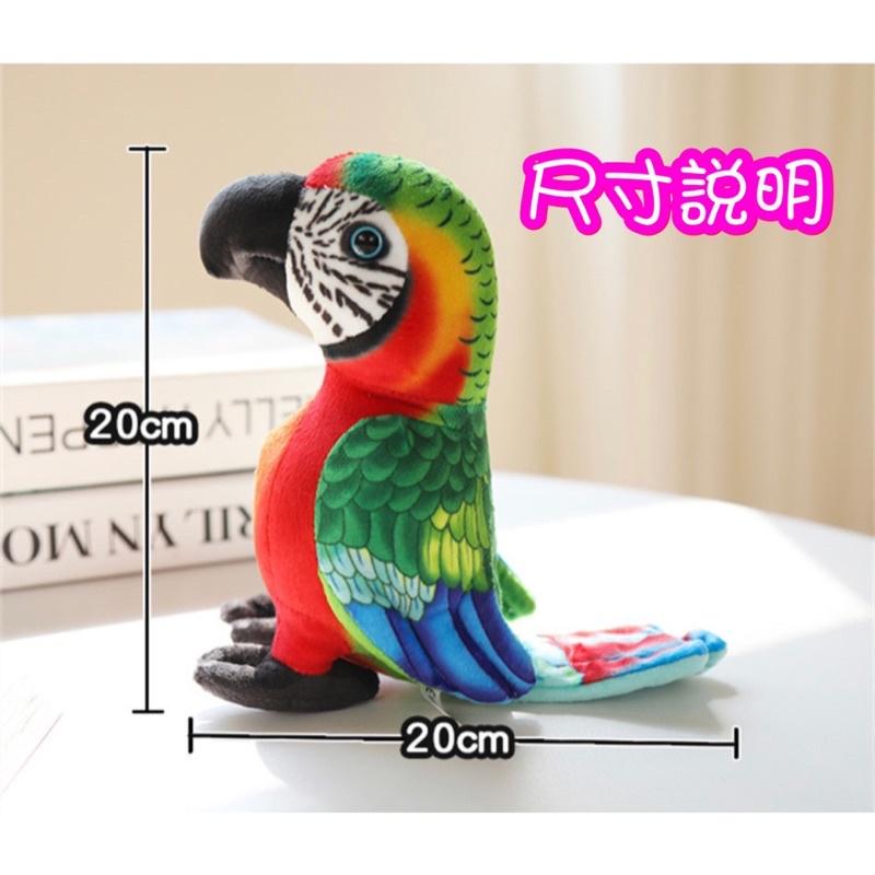 台灣現貨❤️2隻500元🦜精美仿真鸚鵡娃娃 公仔 擺設-八哥 金剛鸚鵡 灰鸚鵡-細節圖4