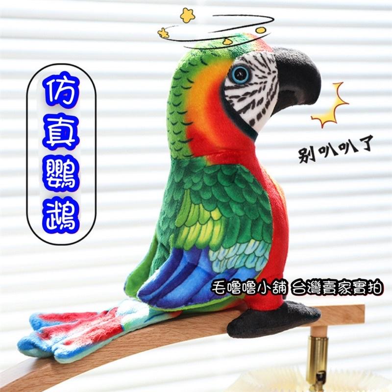 台灣現貨❤️2隻500元🦜精美仿真鸚鵡娃娃 公仔 擺設-八哥 金剛鸚鵡 灰鸚鵡-細節圖5