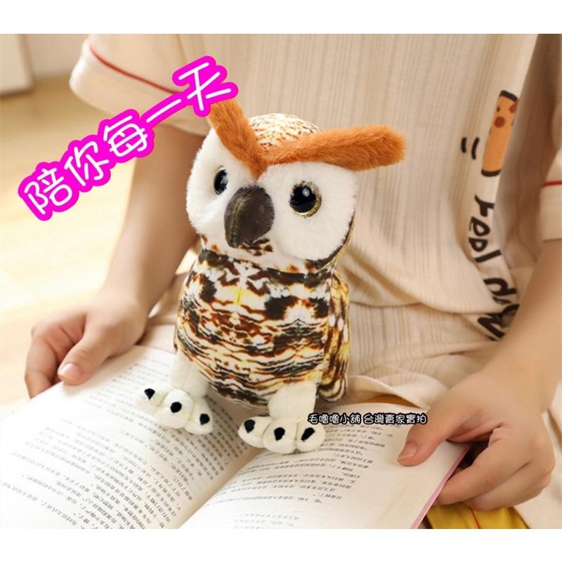 台灣現貨❤️2隻500元超仿真🦉貓頭鷹娃娃擺件抱枕-角鴞 雪鴞 灰林鴞-細節圖8