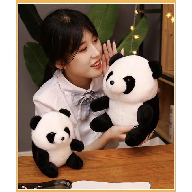 台灣現貨❤️圓滾滾熊貓熊安撫娃娃 球型娃娃 團團 圓圓 熊貓娃娃-細節圖5