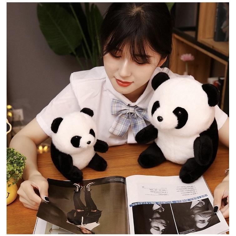 台灣現貨❤️圓滾滾熊貓熊安撫娃娃 球型娃娃 團團 圓圓 熊貓娃娃-細節圖6