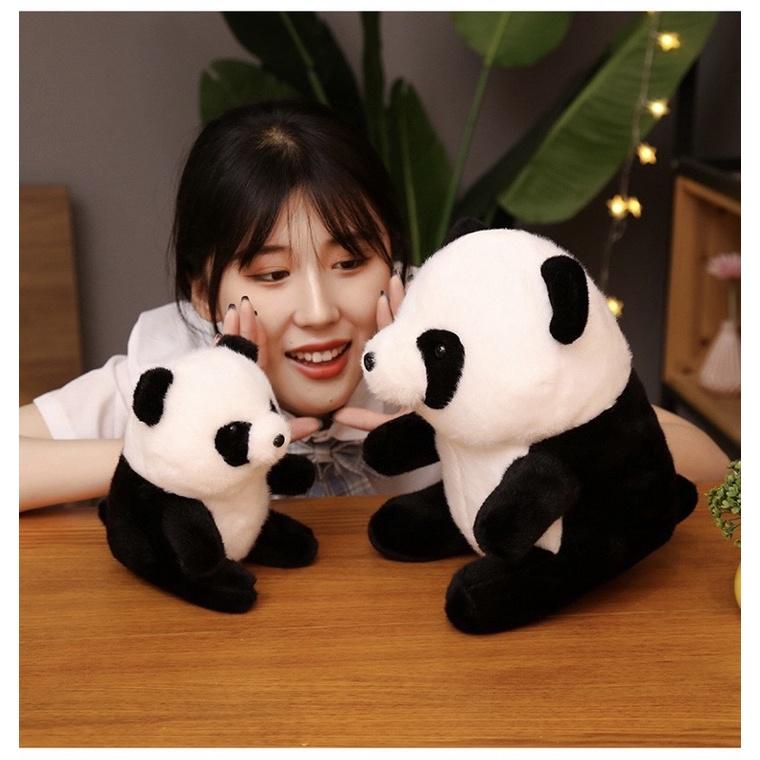 台灣現貨❤️圓滾滾熊貓熊安撫娃娃 球型娃娃 團團 圓圓 熊貓娃娃-細節圖7