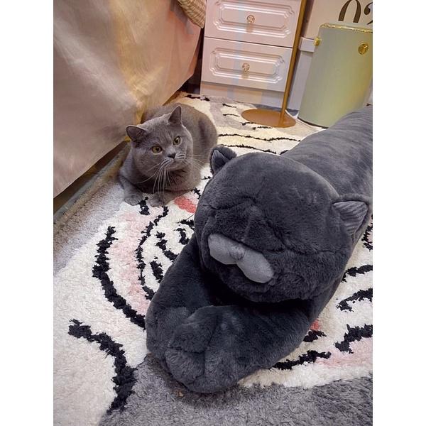 台灣出貨-北歐風格長條臘腸狗 哈士奇 柴犬 小狐狸 懶藍貓 長條抱枕娃娃-細節圖6