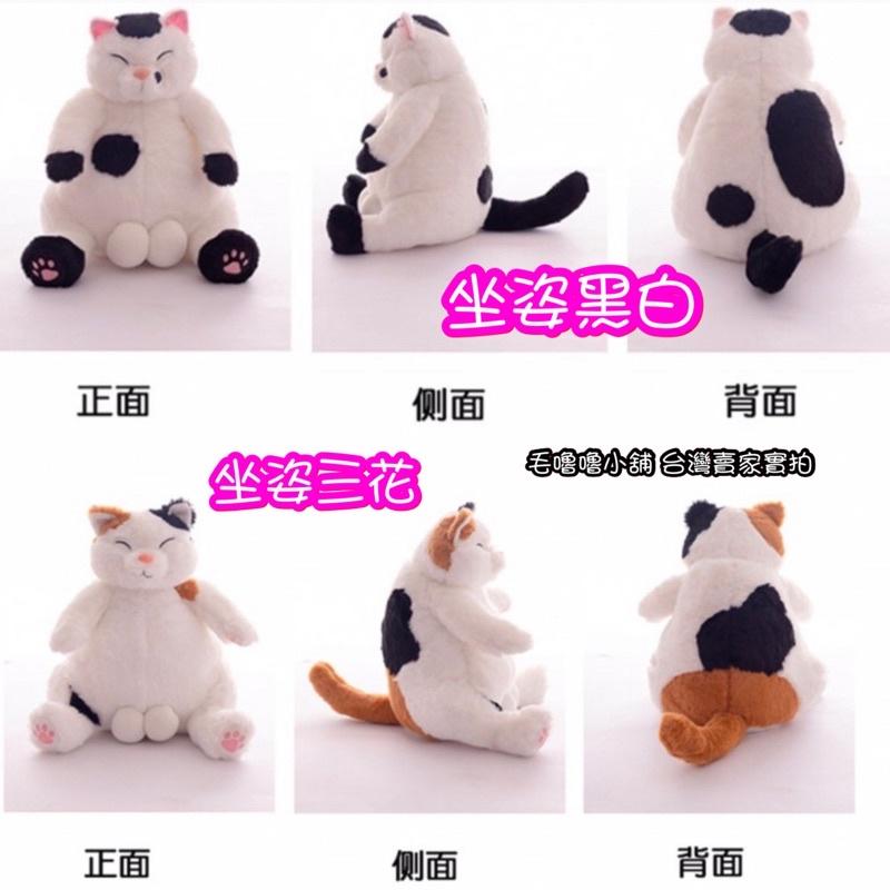台灣現貨-超萌日系露蛋三花貓黑貓白貓橘貓-擼貓首選-細節圖6