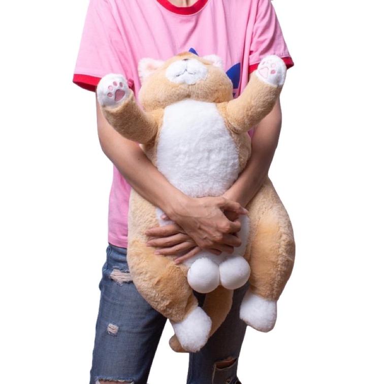 台灣現貨-超萌日系露蛋三花貓黑貓白貓橘貓-擼貓首選-細節圖9