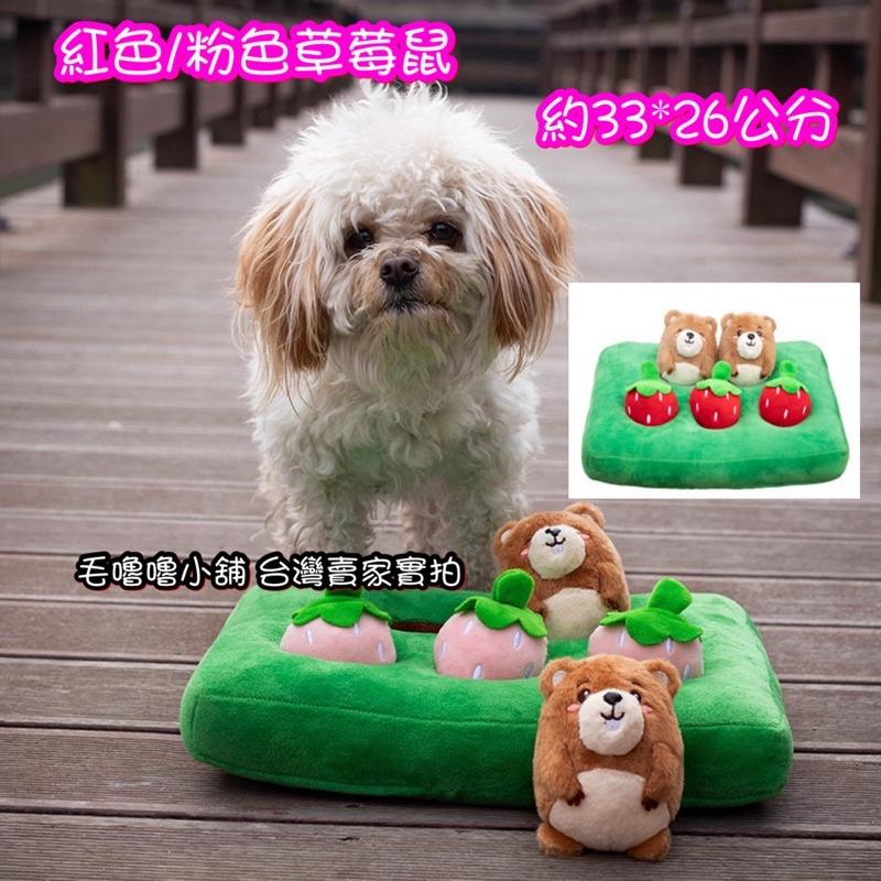 台灣現貨超低價-多款寵物親子仿真拔蘿蔔蘑菇草莓酪梨烏龜鳳梨南瓜種菜地遊戲玩偶寵物嗅聞訓練藏食物 菜園 扮家家酒 早教玩具-細節圖3