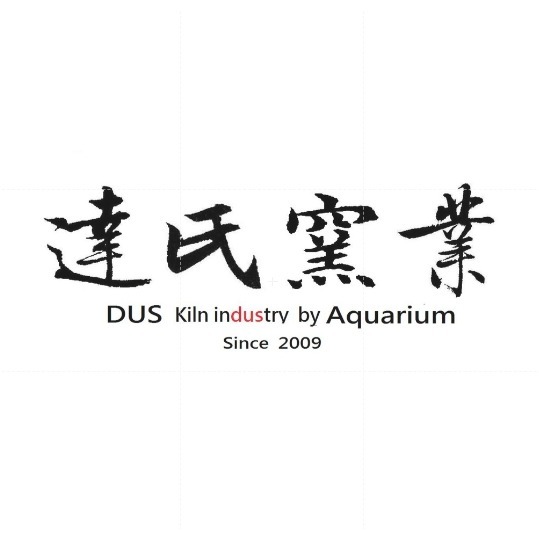 【QQ魚】台灣製 最新《第5代 DUS陀螺 1kg賣場 散裝》多孔培菌 濾材 陶瓷環 陶瓷球 DUS濾材 過濾培菌-細節圖9