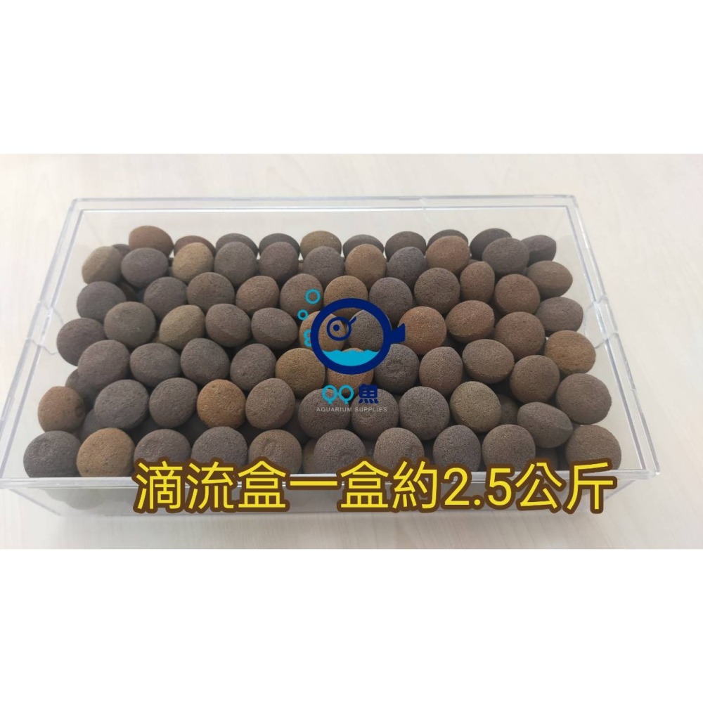 【QQ魚】台灣製 最新《第5代DUS PLUS 負離子 1kg賣場 散裝》多孔培菌濾材 陶瓷環 陶瓷球 石英石-細節圖5
